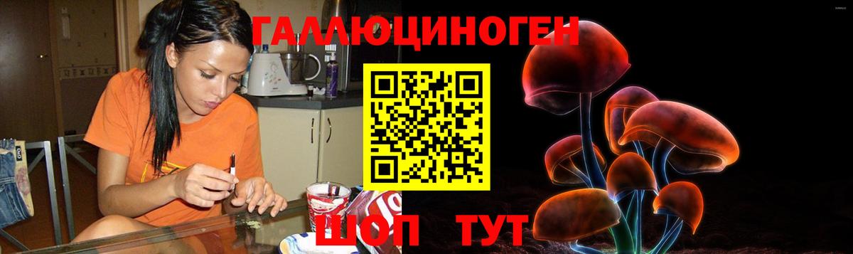 где найти наркотики  Вход с VPN  Галлюциногенные грибы ЛСД  Ялта  Галлюциногенные грибы MAGIC MUSHROOMS 